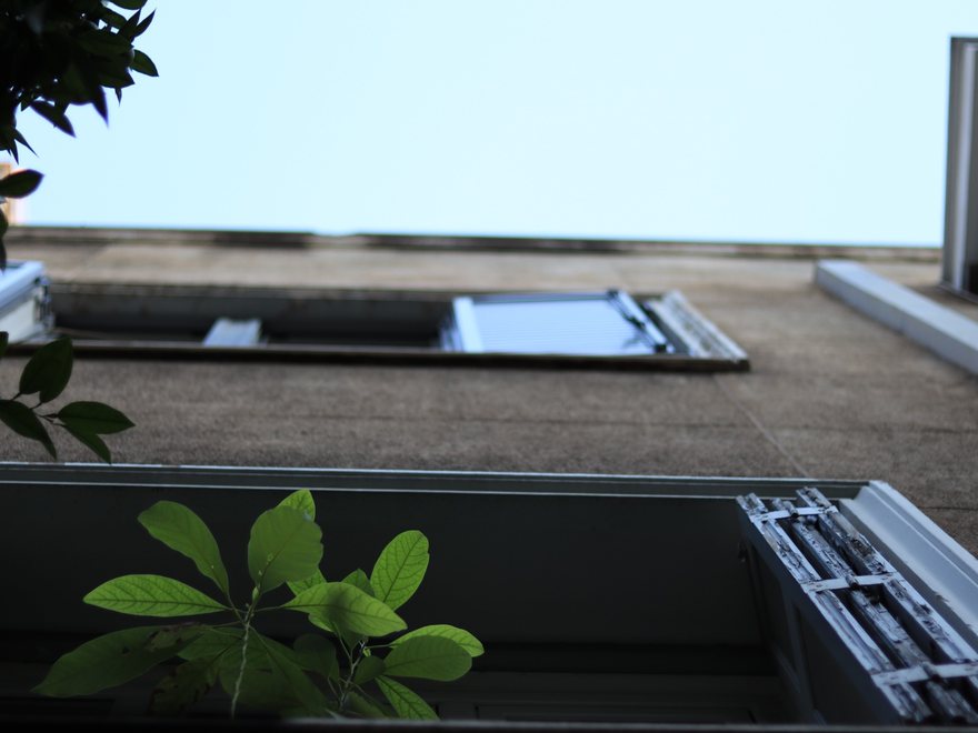 Building facade, open window and green leaves