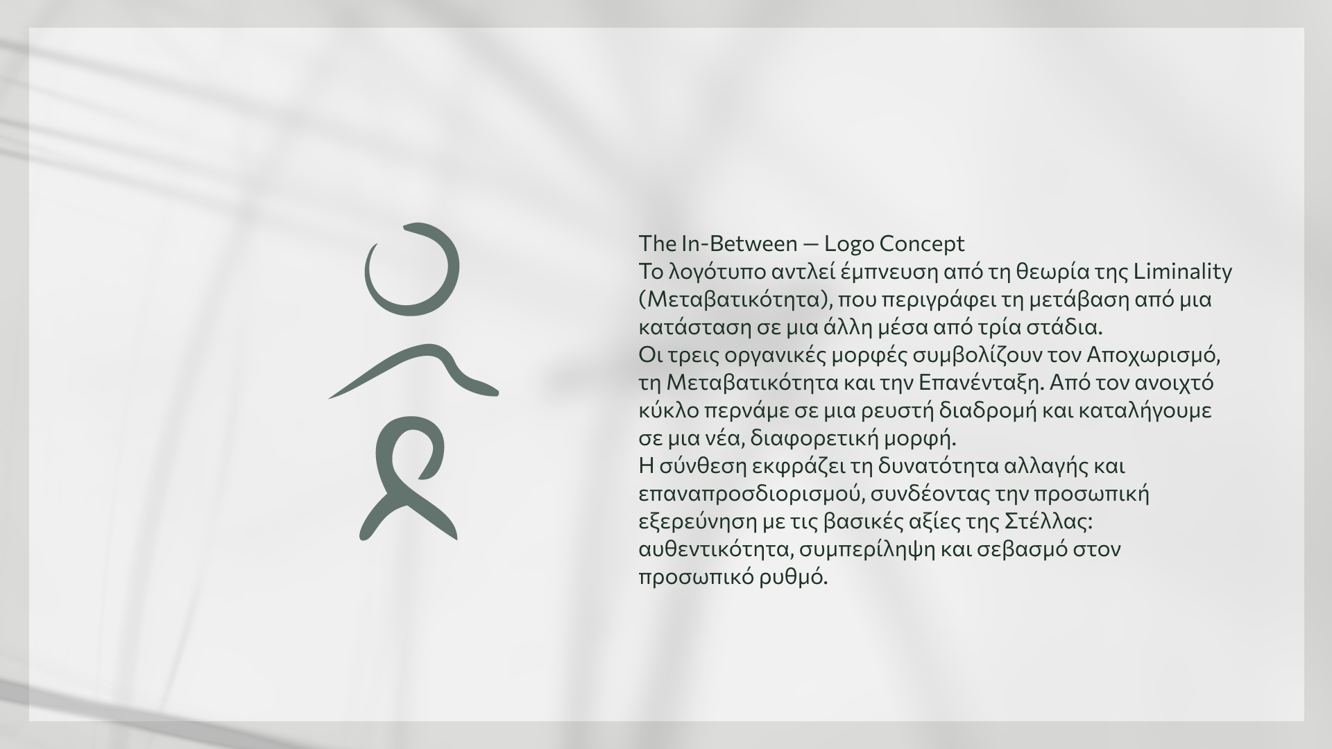 Stella logo concept explanation